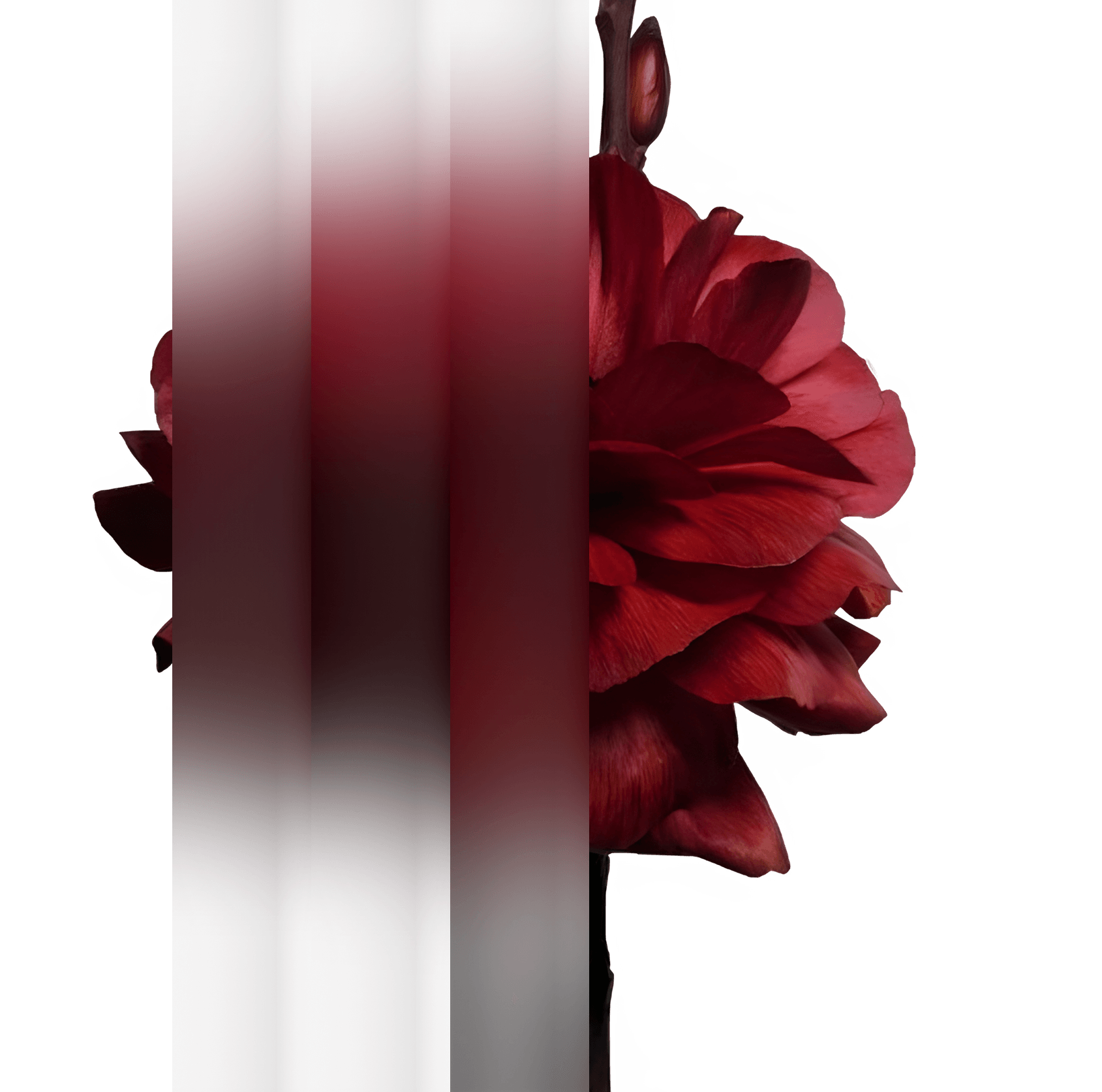 whyMe-img